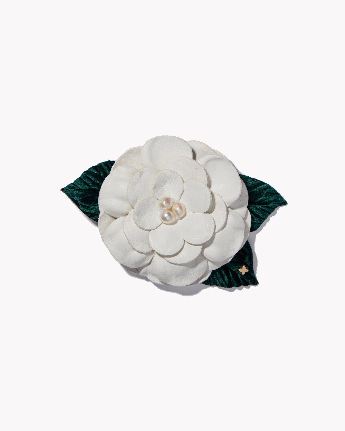Small Gardenia