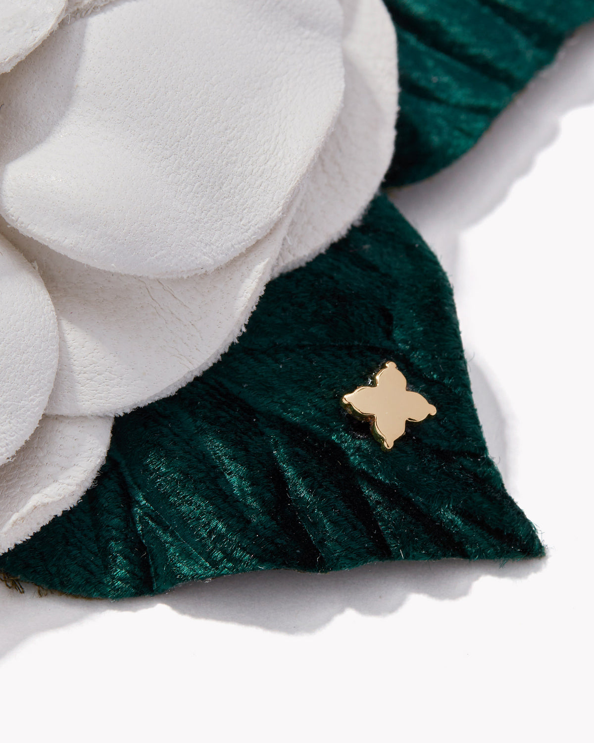 Small Gardenia
