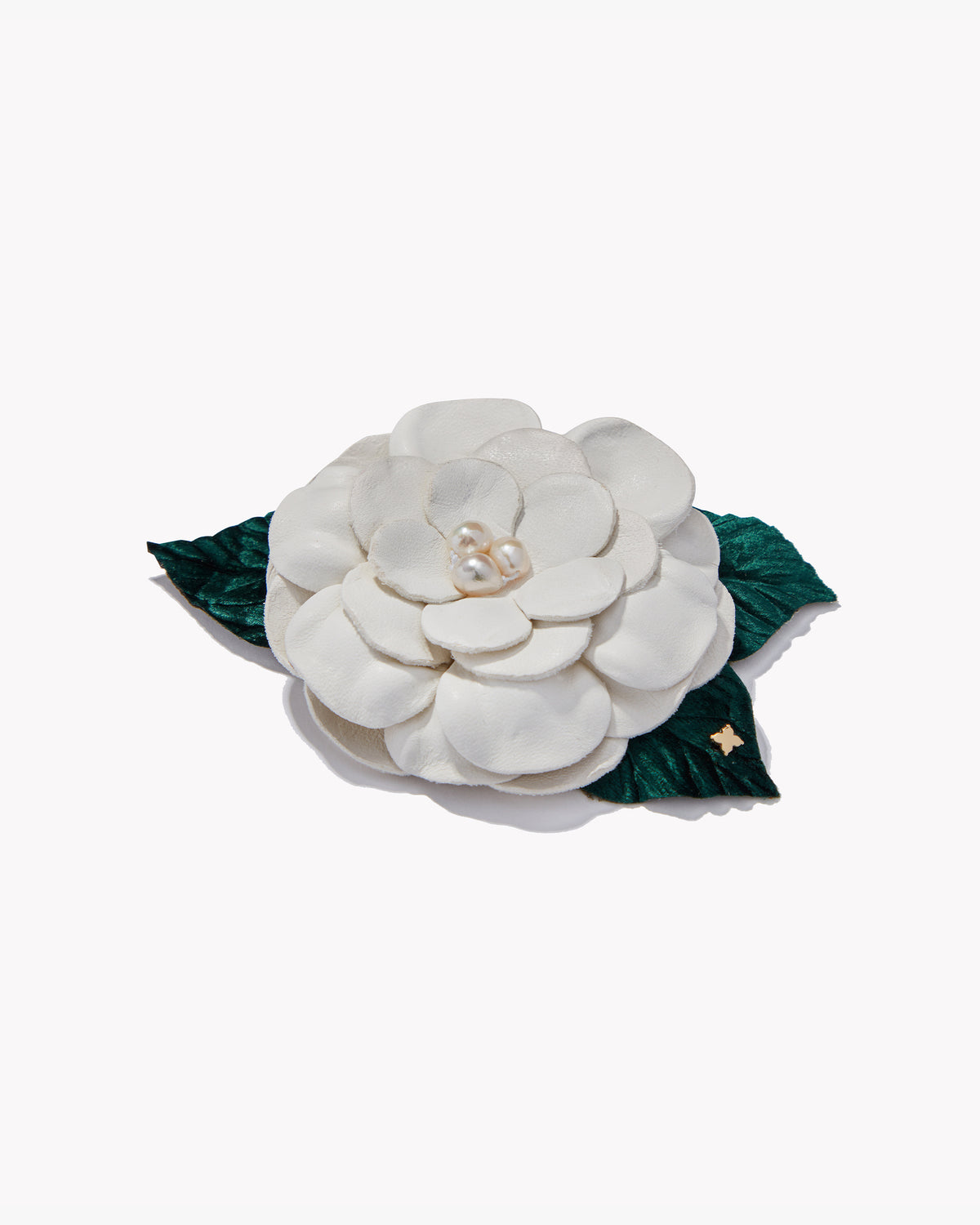 Small Gardenia