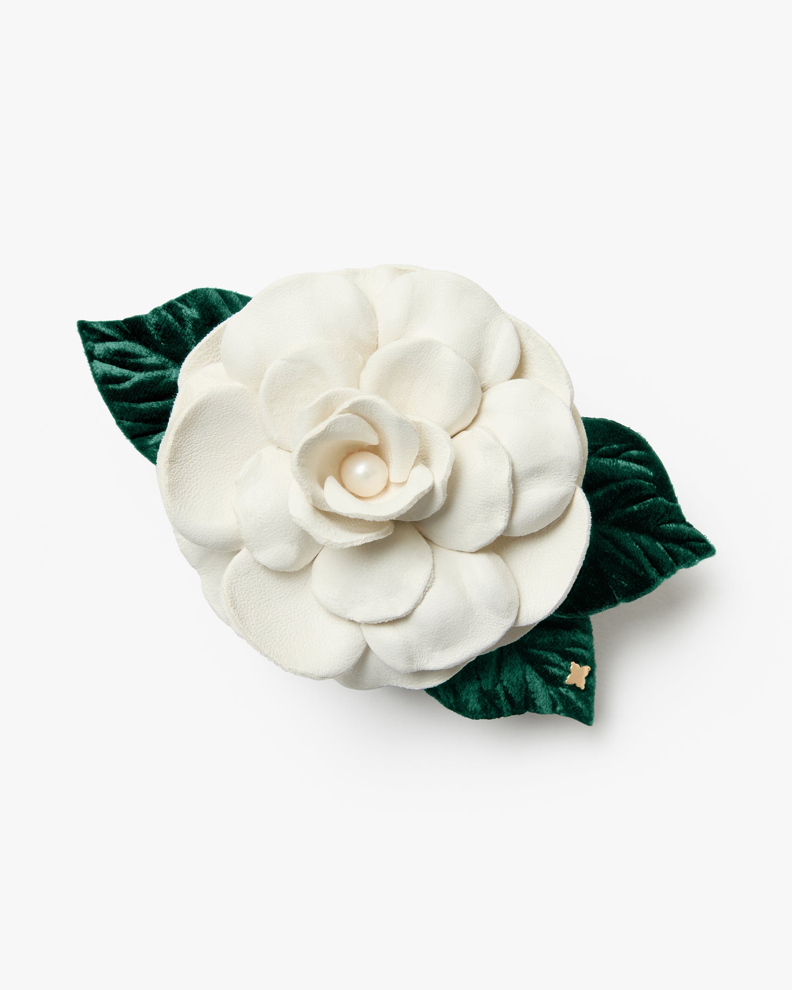 Small Gardenia