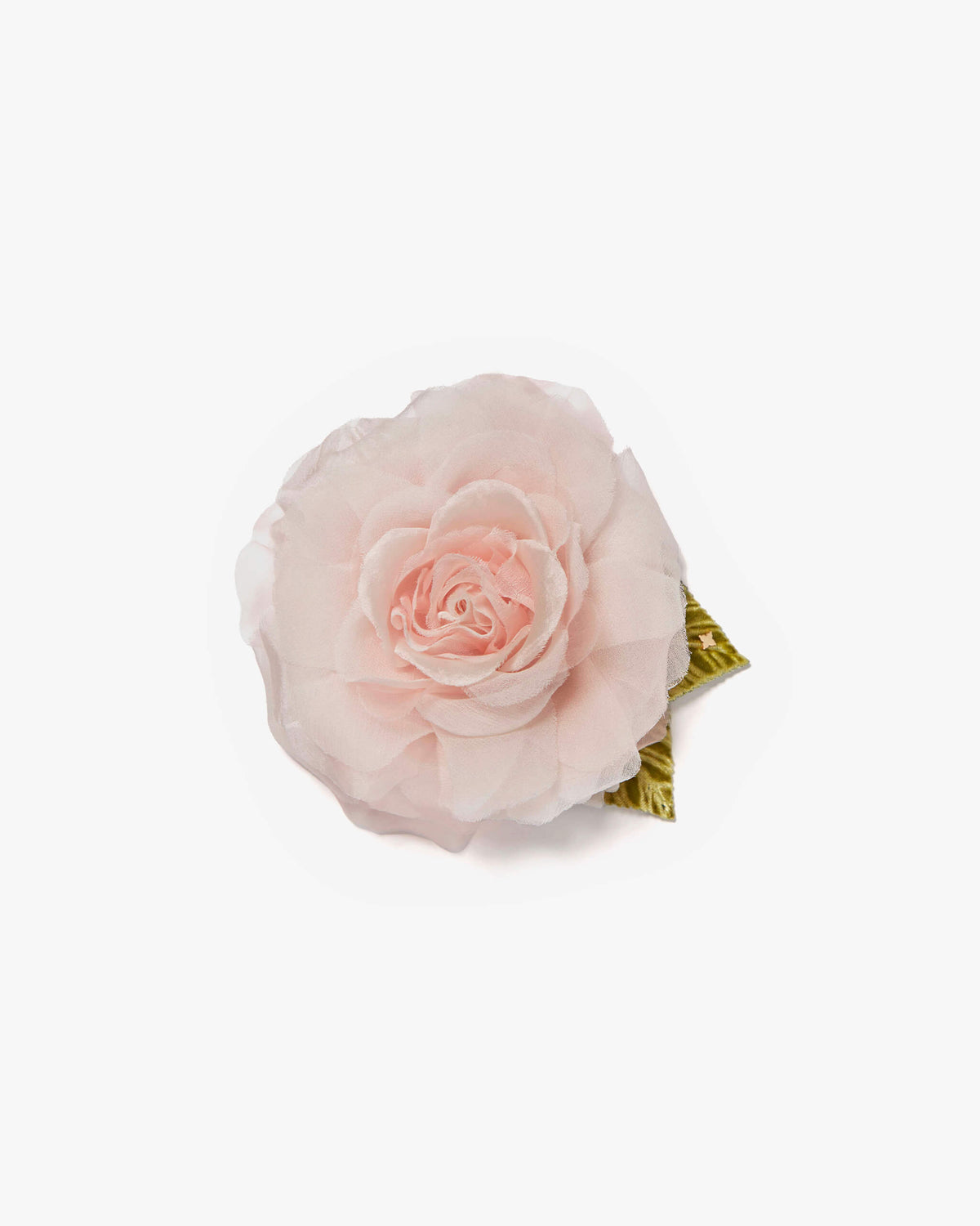 Small Pale Pink Rose