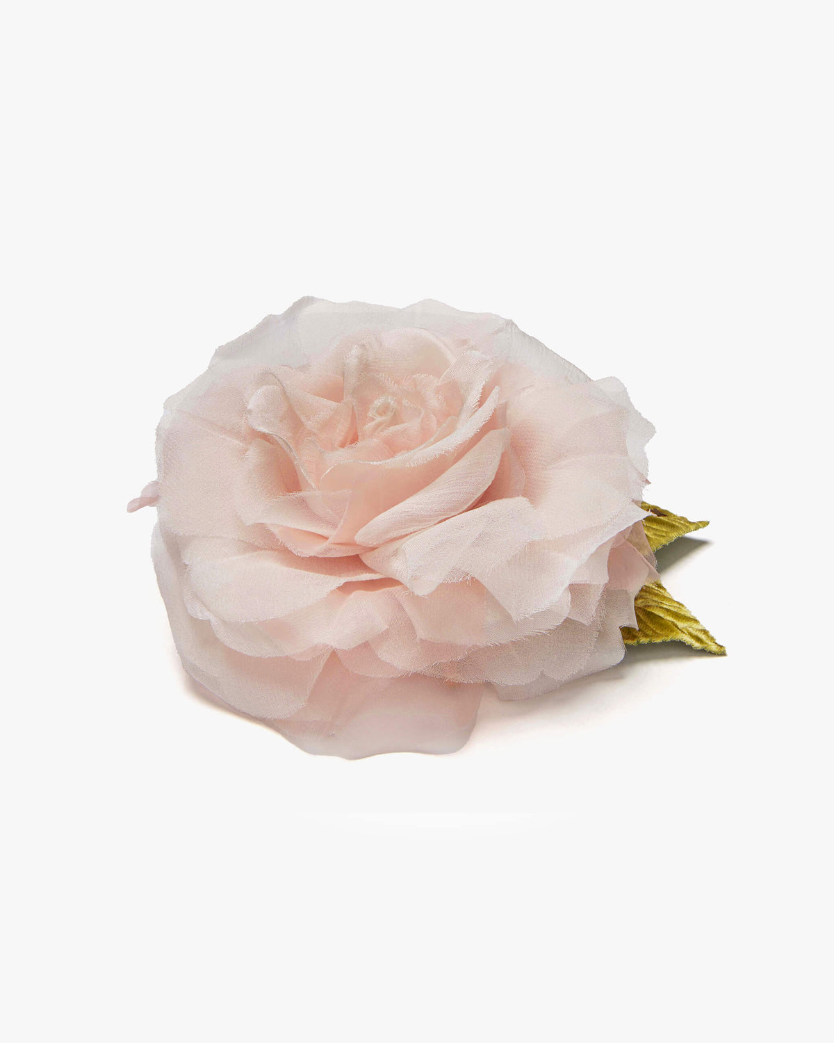 Small Pale Pink Rose